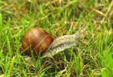 micro number usage benchmark
