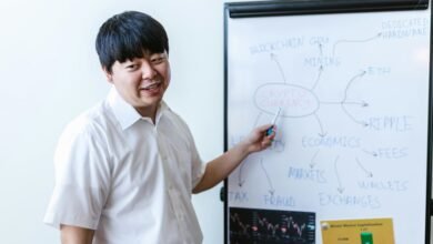 expert breakdown of information